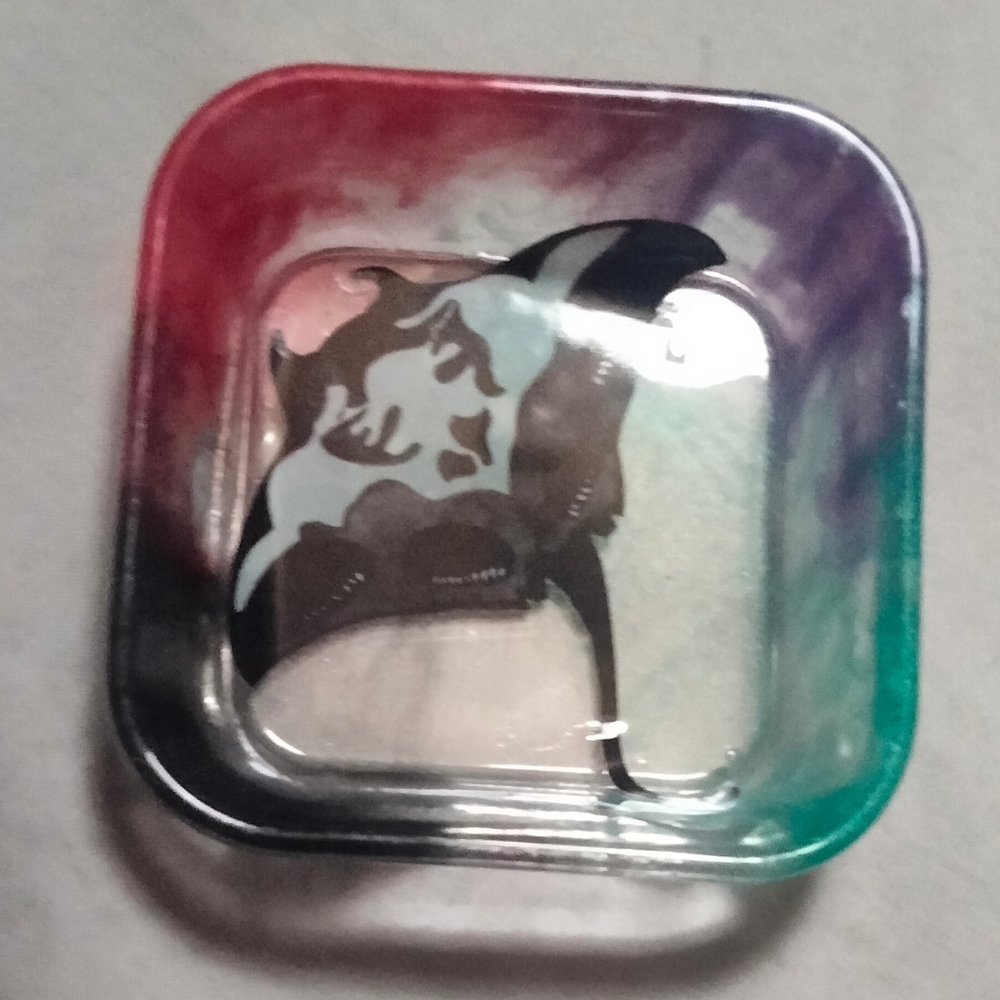 Dish- epoxy resin